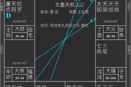 紫薇斗数看你结婚