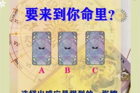 神准塔罗牌测试：五月份你的事业运如何-