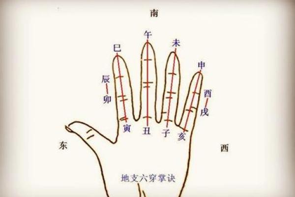 看花算命是什么意思