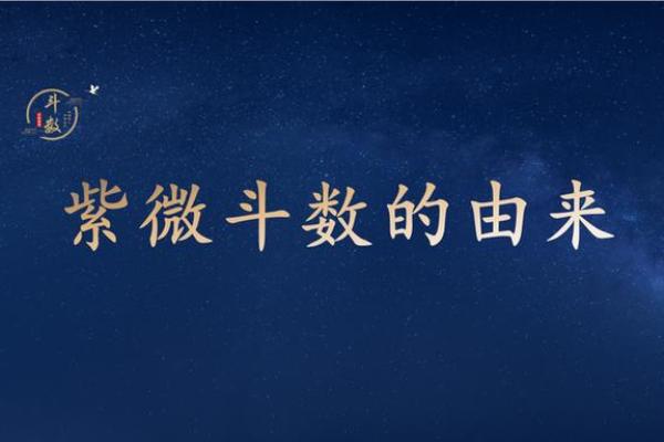 庄氏紫薇斗数创始人