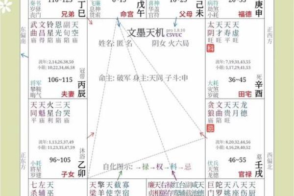 紫薇斗数怎么看禄转忌