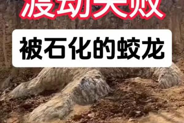 真龙正穴之风水宝地的大小问题