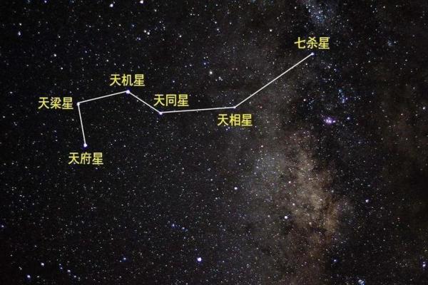 紫微斗数诸星落诸宫之，天府星：阳土疾厄宫详解