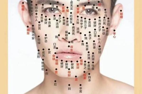 面相额头痣相图解算命