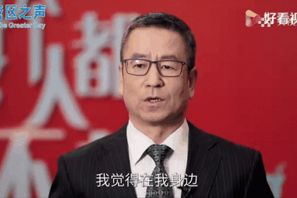 白岩松八字,撒贝宁八字