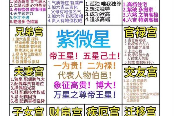 紫薇斗数主星长相