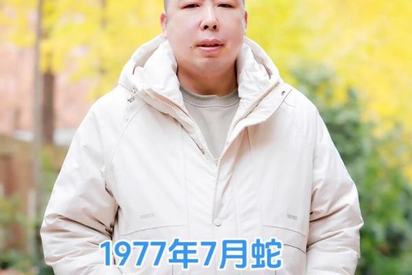 属蛇是哪一年出生的 属蛇的男孩出生吉日