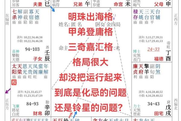 紫薇斗数股票赚钱