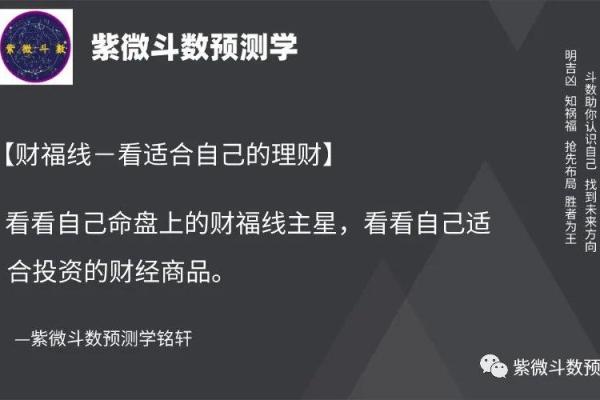 紫薇斗数股票赚钱
