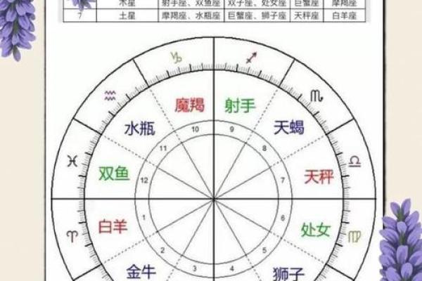 如何查看自己的星盘 个人星盘查询方法