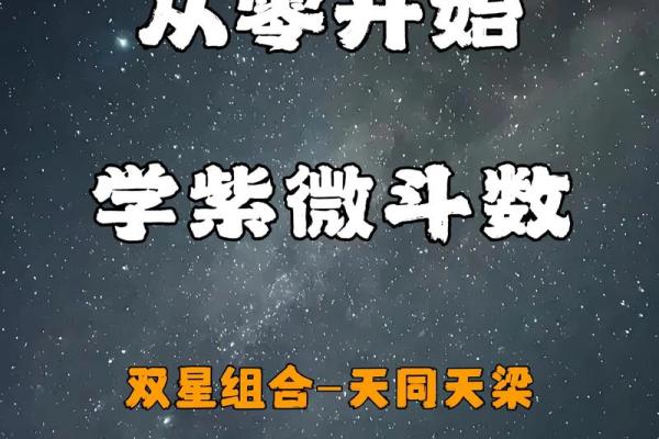 紫薇斗数天梁