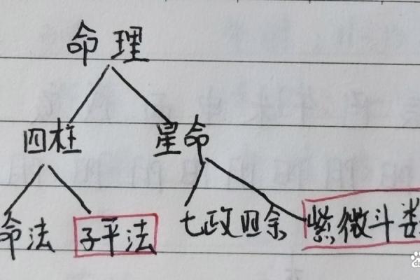八字分析揭示性格特点及命运走势，告诉你如何预测未来