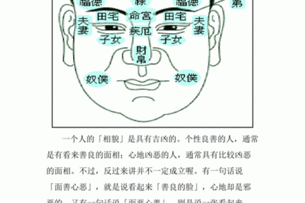 八字眉的男人面相图解 倒八字眉有何区别