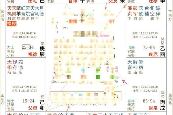 紫薇斗数排盘死