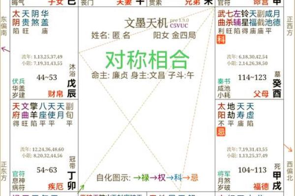加紫薇斗数术语