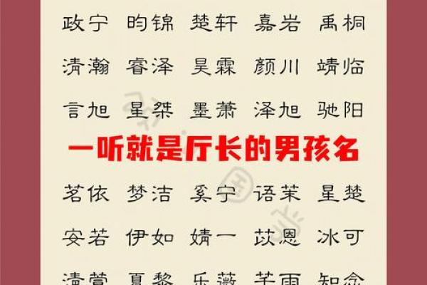 2019年6月23号丑时出生的男孩如何起名姓名