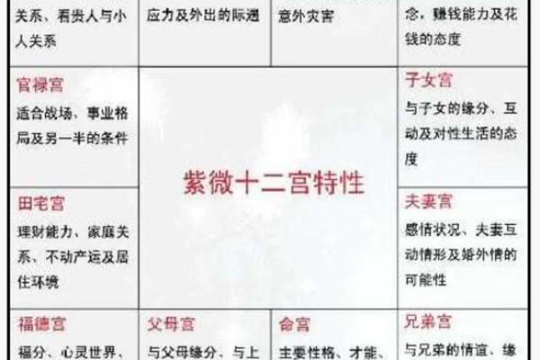 紫薇斗数强星