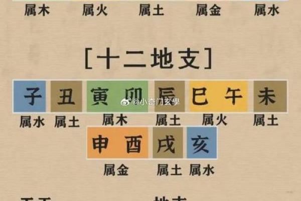 八字干支身体部位对照表