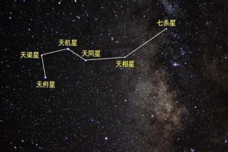 紫微斗数诸星落诸宫之，天府星：阳土疾厄宫详解