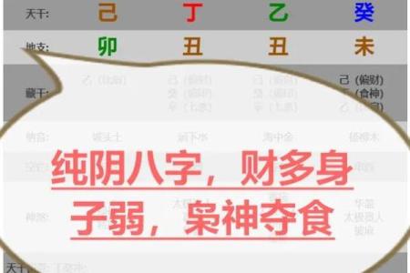 风水八字纯阳怎么化解有哪些方法