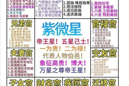紫薇斗数主星长相