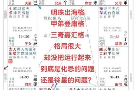 紫薇斗数股票赚钱
