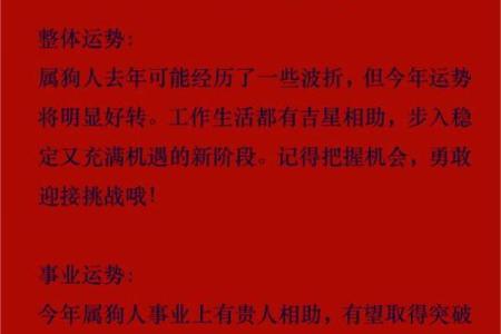 二月份出生的属狗男孩怎么取名字姓名