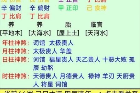 民间故事：算命仙报出生辰八字，断明荣辱祸福