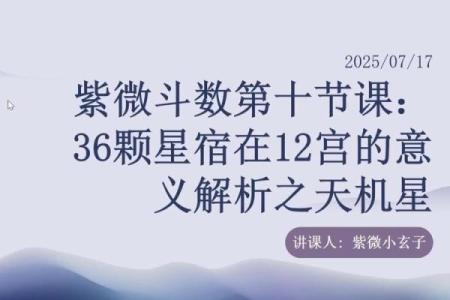 紫微斗数星宿详解天机星 紫薇星天机星？