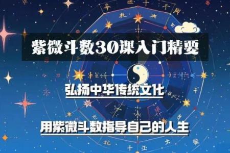 紫薇斗数天梁