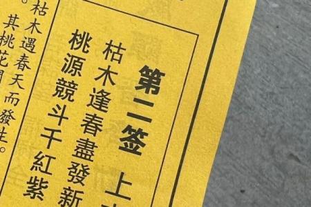 黄大仙灵签解签46