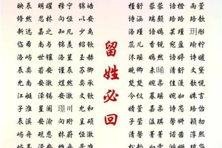 2019年3月20号未时出生的男孩起名方法姓名