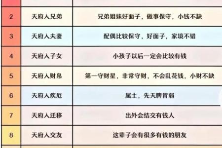 紫薇斗数星位排法