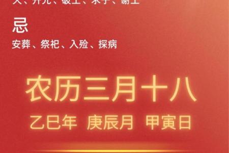 弗里斯兰马的寿命,今日黄历买车吉日