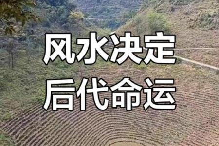 祖坟风水与后人命运怎么看最好
