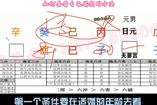 四柱八字软件