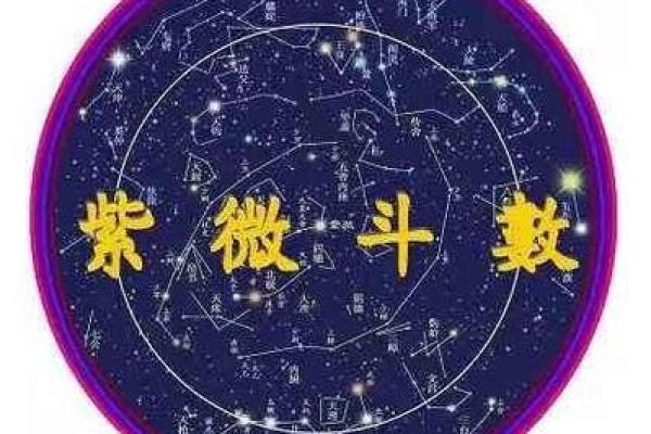 葵葵紫薇斗数