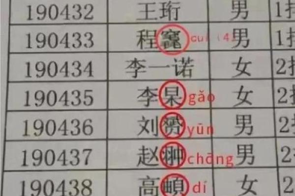 2019年4月23号卯时出生的男孩应该起什么样的名字姓名