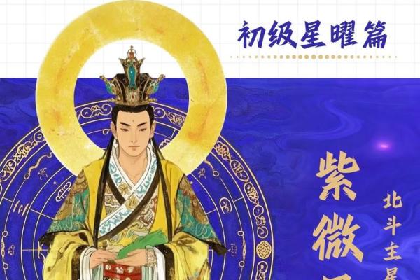 紫薇斗数pdf网盘