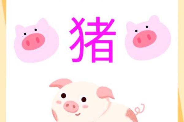属猪是哪一年出生的 属猪的男孩出生吉日
