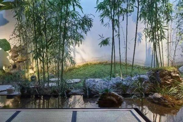 竹子在院子哪个方位好
