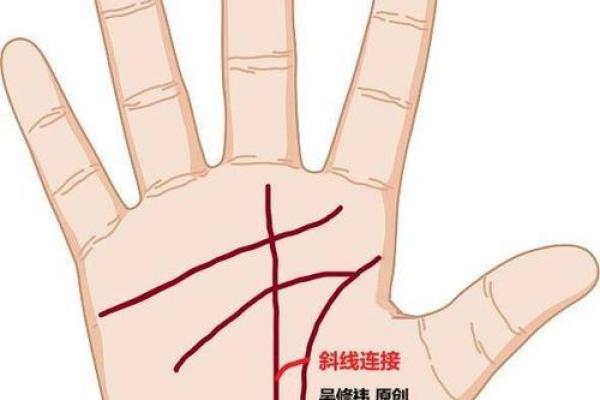 女人的事业线止于感情线命运如何风水