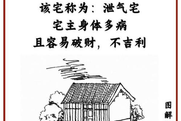 阳宅招财风水在家里放什么最好
