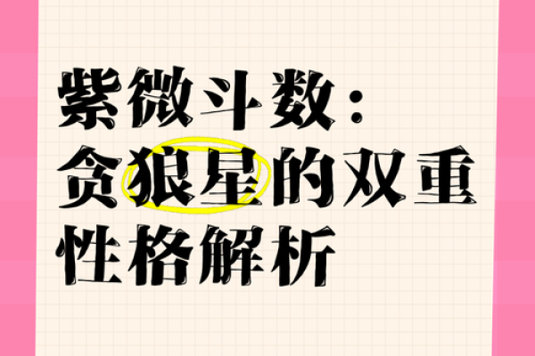 紫薇斗数解读，廉贞贪狼性格解读