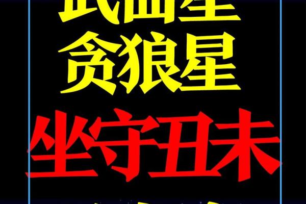 紫薇斗数解读，廉贞贪狼性格解读