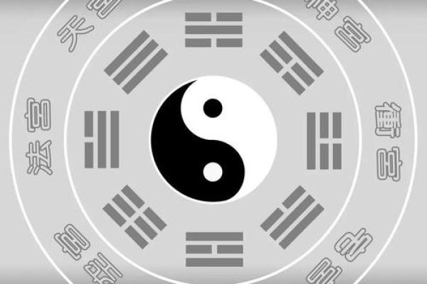 八卦与八字