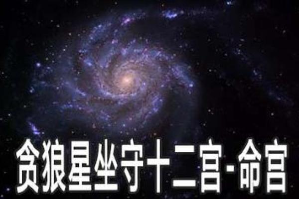 紫薇斗数贪狼在命宫