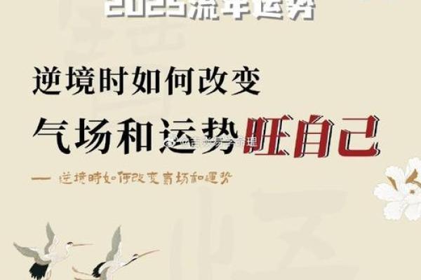 好的风水才能够带旺你的事业运