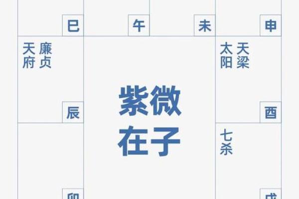 紫薇星化科入父母宫