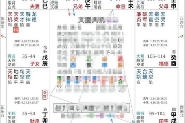 紫薇斗数看财富自由